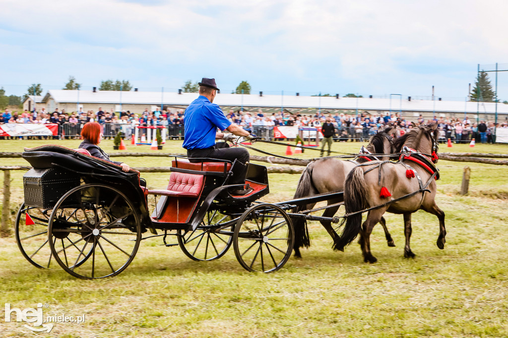 Parada Konna w Żarówce 2022