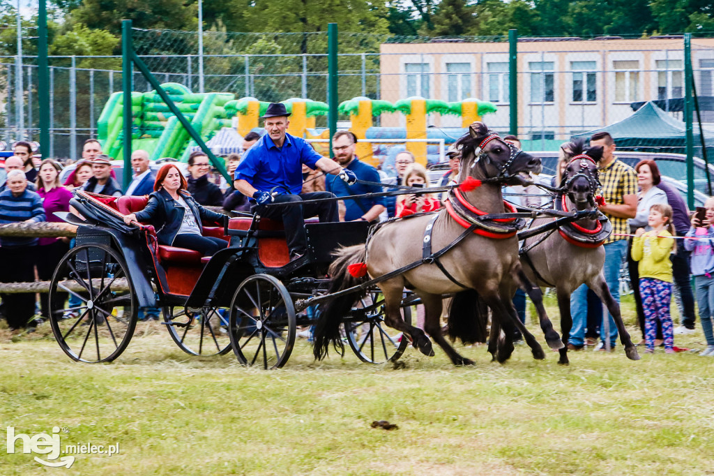 Parada Konna w Żarówce 2022