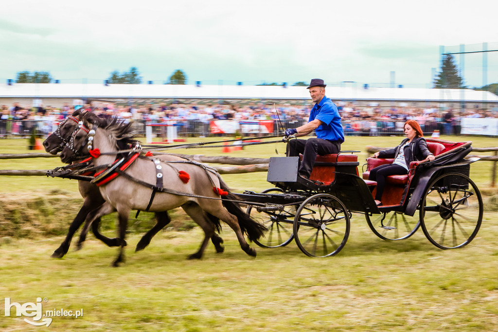 Parada Konna w Żarówce 2022