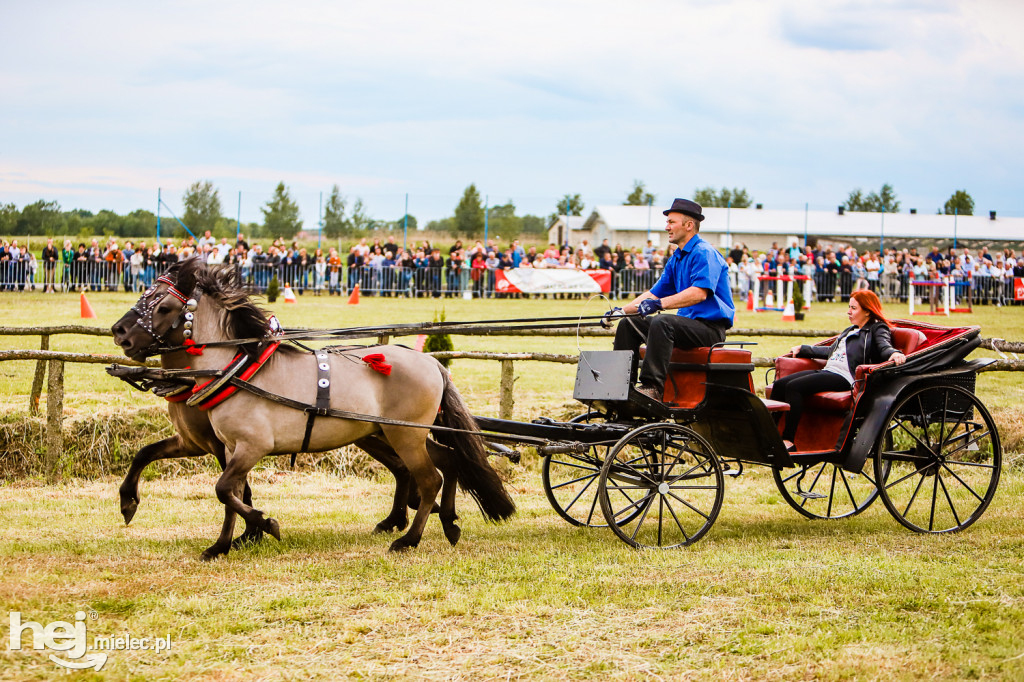 Parada Konna w Żarówce 2022