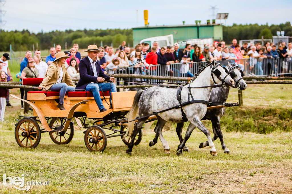 Parada Konna w Żarówce 2022