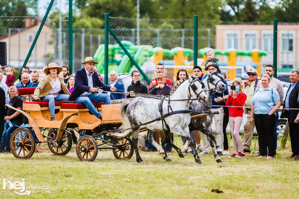 Parada Konna w Żarówce 2022