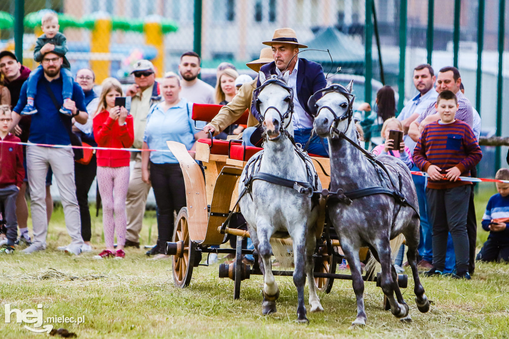 Parada Konna w Żarówce 2022