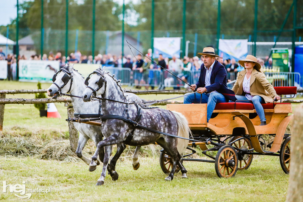 Parada Konna w Żarówce 2022