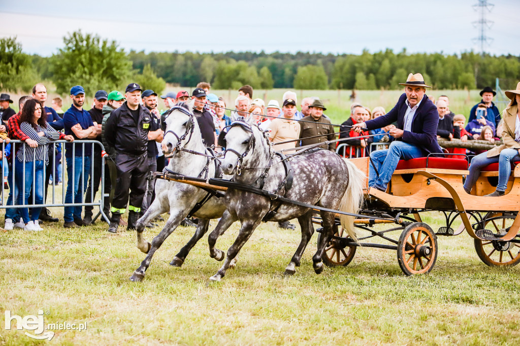 Parada Konna w Żarówce 2022