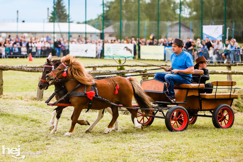 Parada Konna w Żarówce 2022