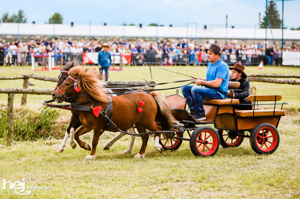 Parada Konna w Żarówce 2022