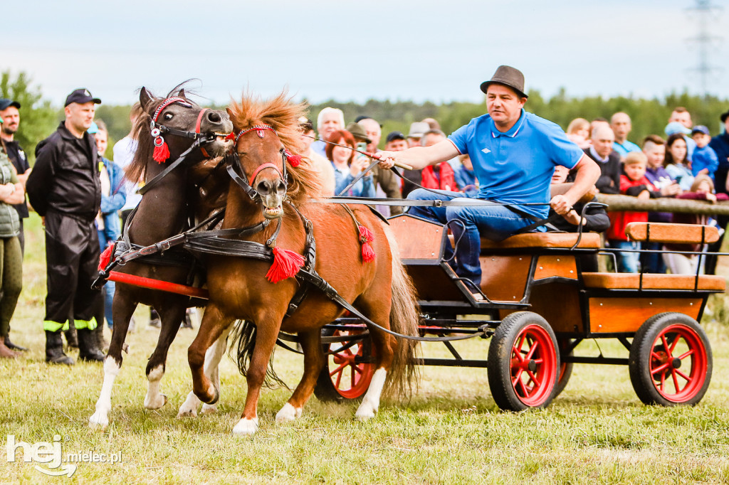 Parada Konna w Żarówce 2022