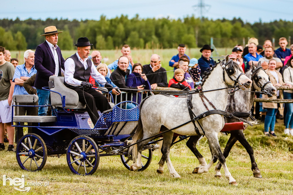 Parada Konna w Żarówce 2022