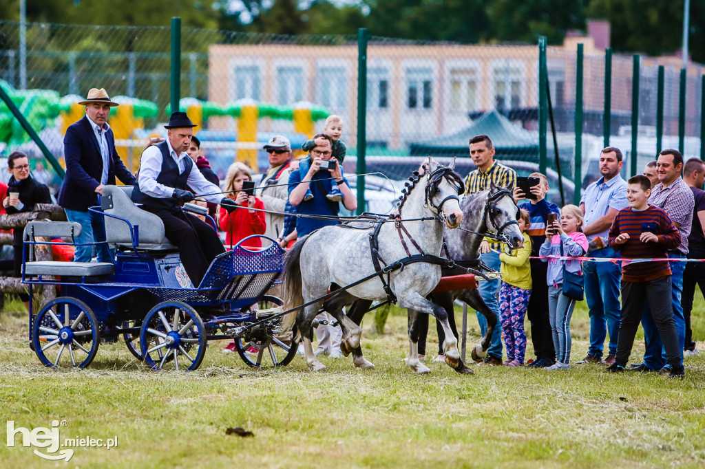 Parada Konna w Żarówce 2022