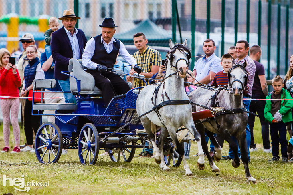 Parada Konna w Żarówce 2022