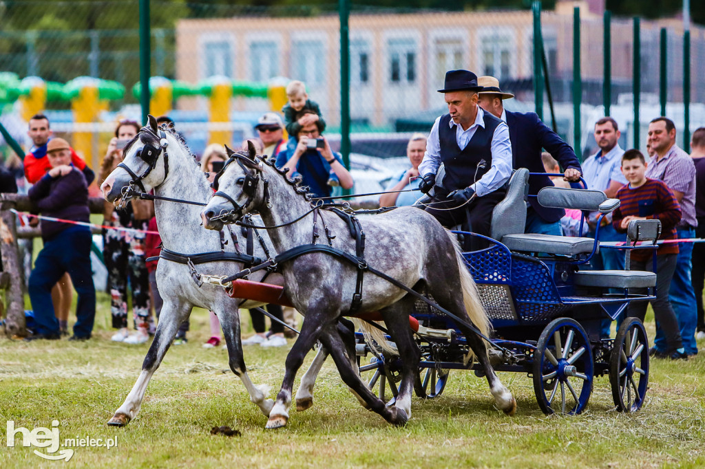 Parada Konna w Żarówce 2022