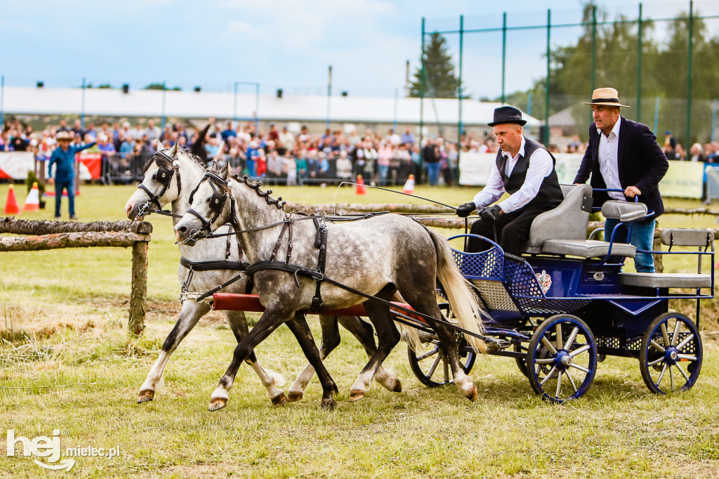 Parada Konna w Żarówce 2022