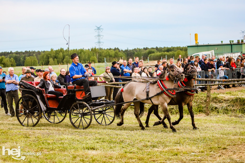 Parada Konna w Żarówce 2022