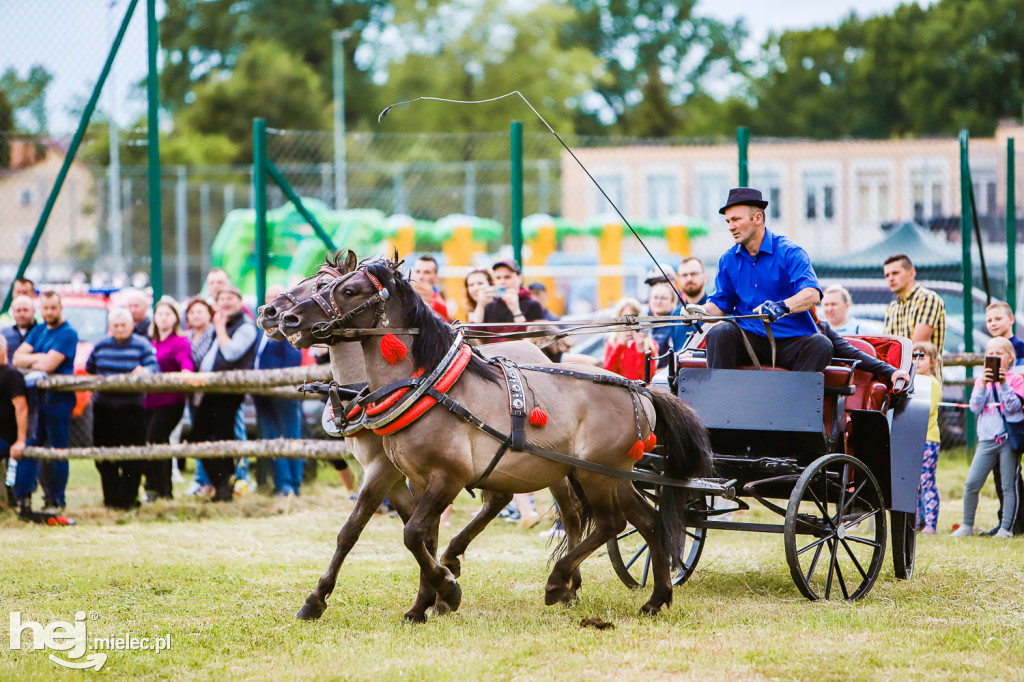 Parada Konna w Żarówce 2022