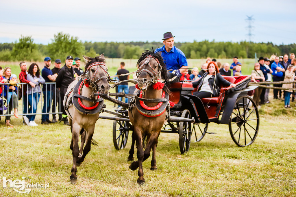 Parada Konna w Żarówce 2022