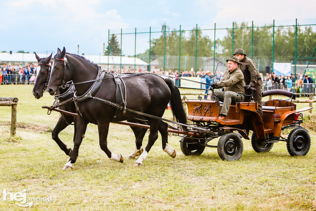 Parada Konna w Żarówce 2022