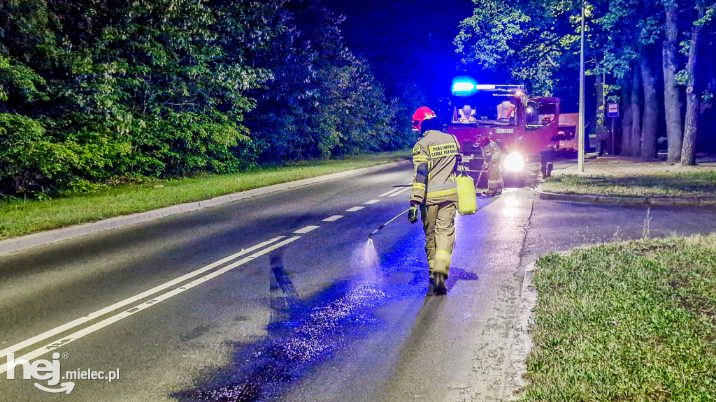 Autokar zgubił ropę