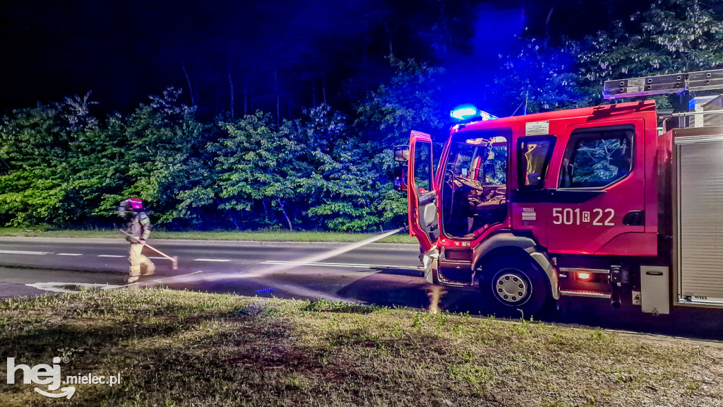 Autokar zgubił ropę