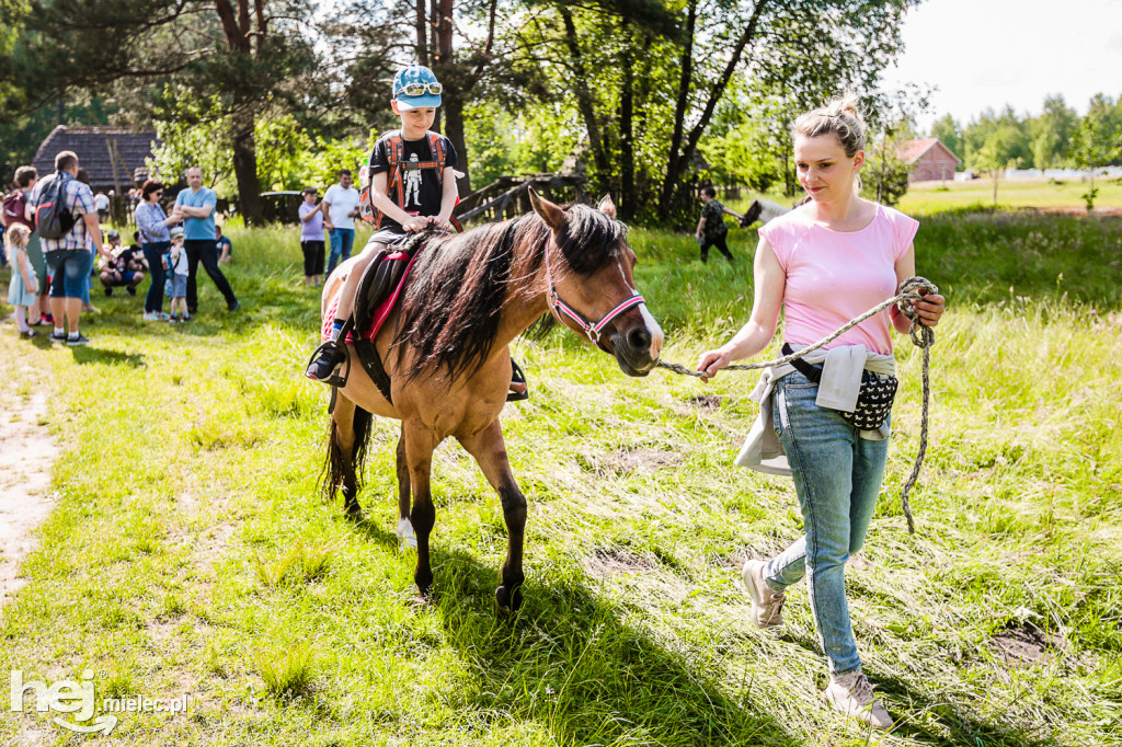 Prezentacje Twórczości Ludowej Lasowiaków i Rzeszowiaków