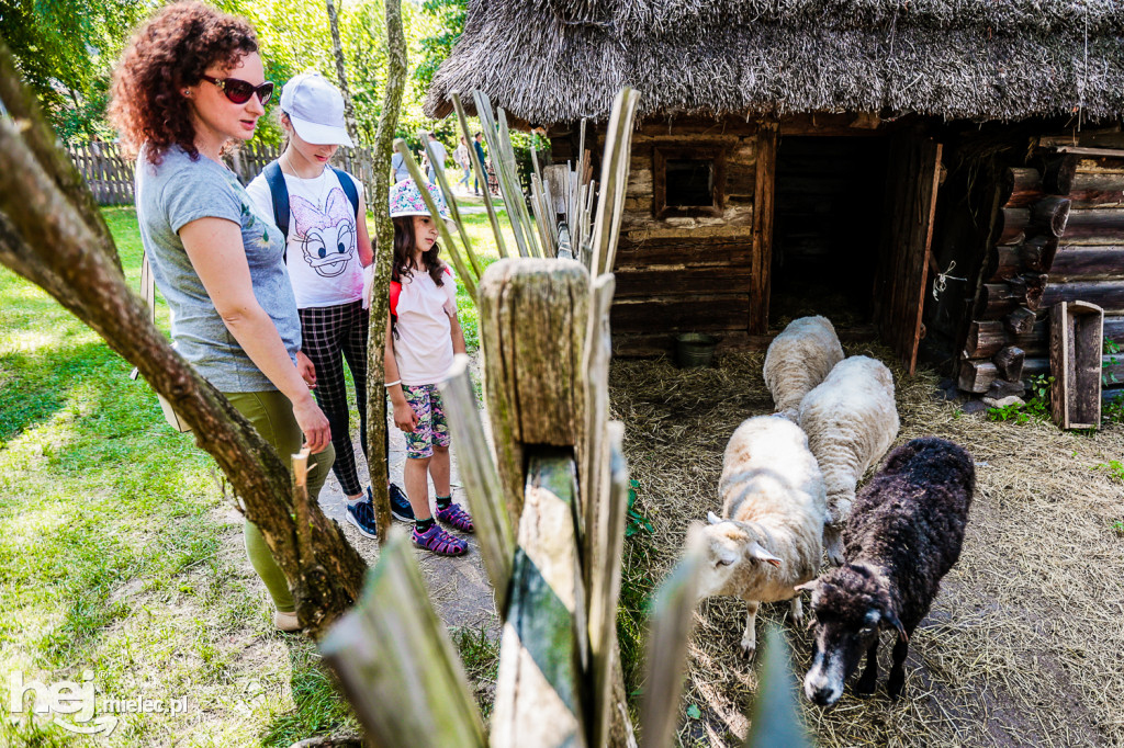 Prezentacje Twórczości Ludowej Lasowiaków i Rzeszowiaków