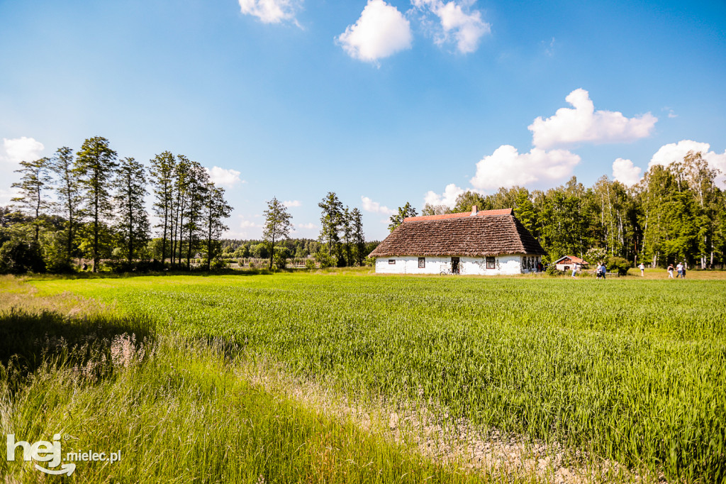 Prezentacje Twórczości Ludowej Lasowiaków i Rzeszowiaków