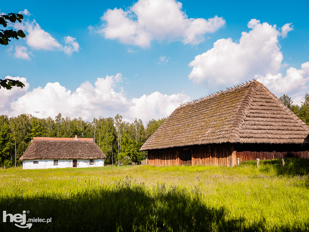 Prezentacje Twórczości Ludowej Lasowiaków i Rzeszowiaków