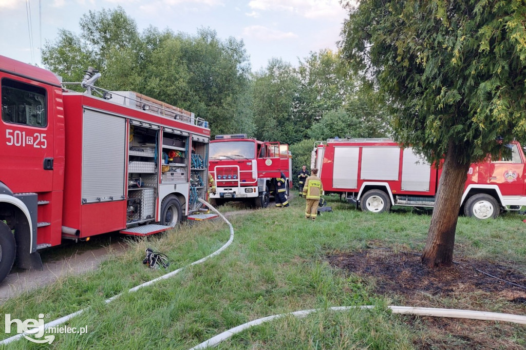 Pożar leśniczówki w Trzcianie