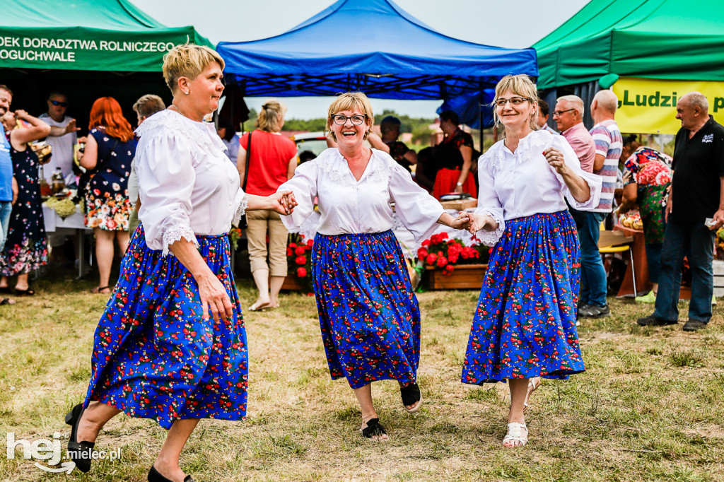 Piknik z Produktem Polskim – Bitwa Regionów w Przecławiu