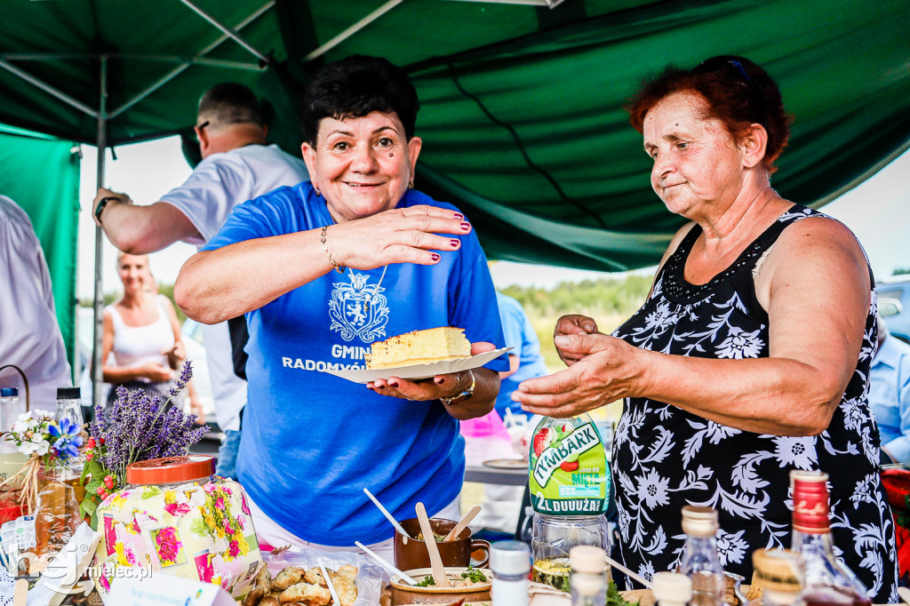Piknik z Produktem Polskim – Bitwa Regionów w Przecławiu