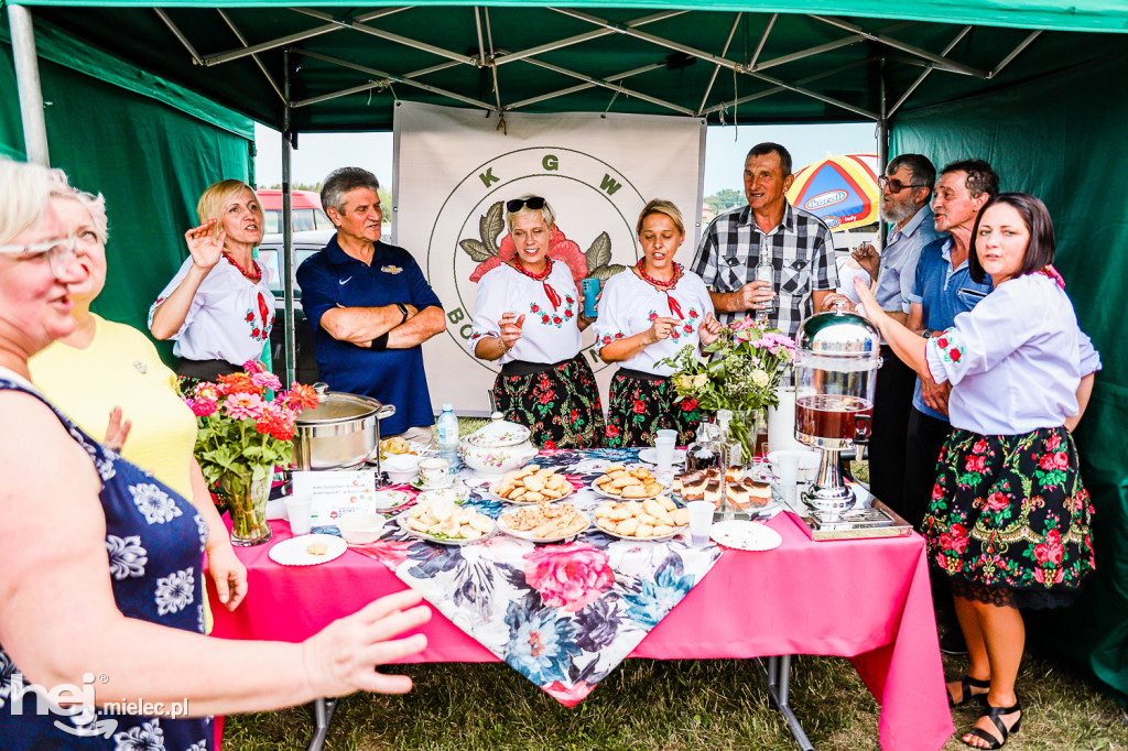 Piknik z Produktem Polskim – Bitwa Regionów w Przecławiu