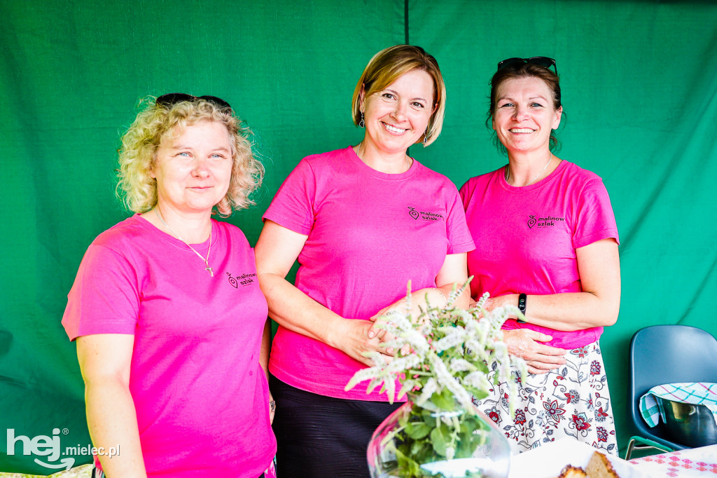 Piknik z Produktem Polskim – Bitwa Regionów w Przecławiu