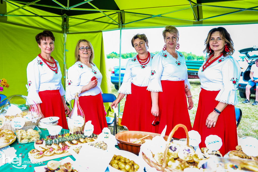 Piknik z Produktem Polskim – Bitwa Regionów w Przecławiu