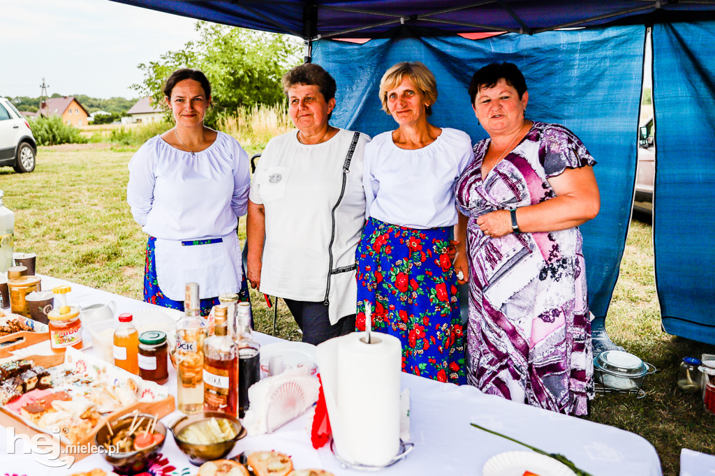 Piknik z Produktem Polskim – Bitwa Regionów w Przecławiu