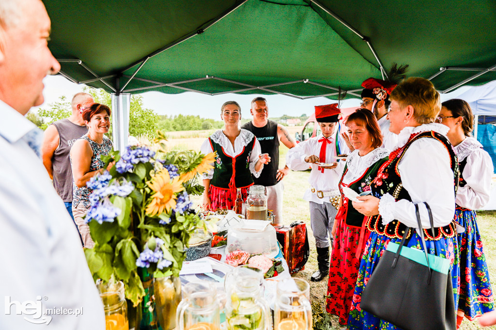 Piknik z Produktem Polskim – Bitwa Regionów w Przecławiu