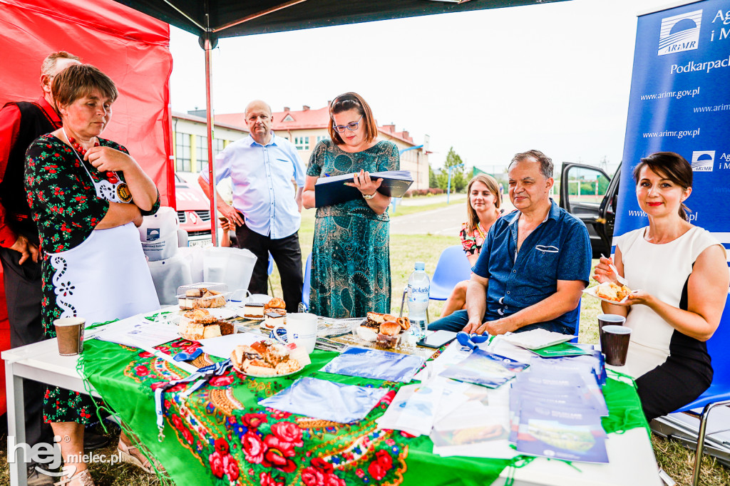 Piknik z Produktem Polskim – Bitwa Regionów w Przecławiu