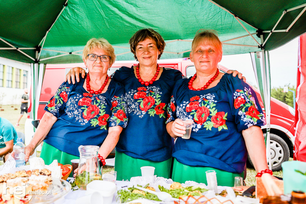Piknik z Produktem Polskim – Bitwa Regionów w Przecławiu