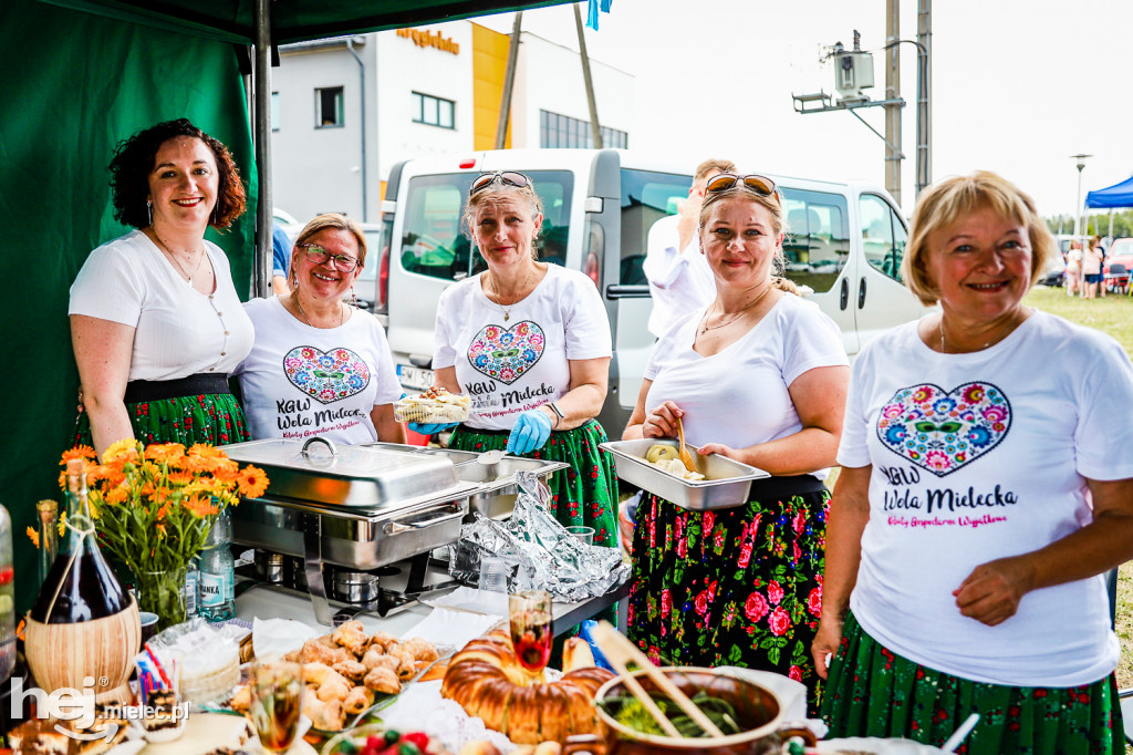 Piknik z Produktem Polskim – Bitwa Regionów w Przecławiu