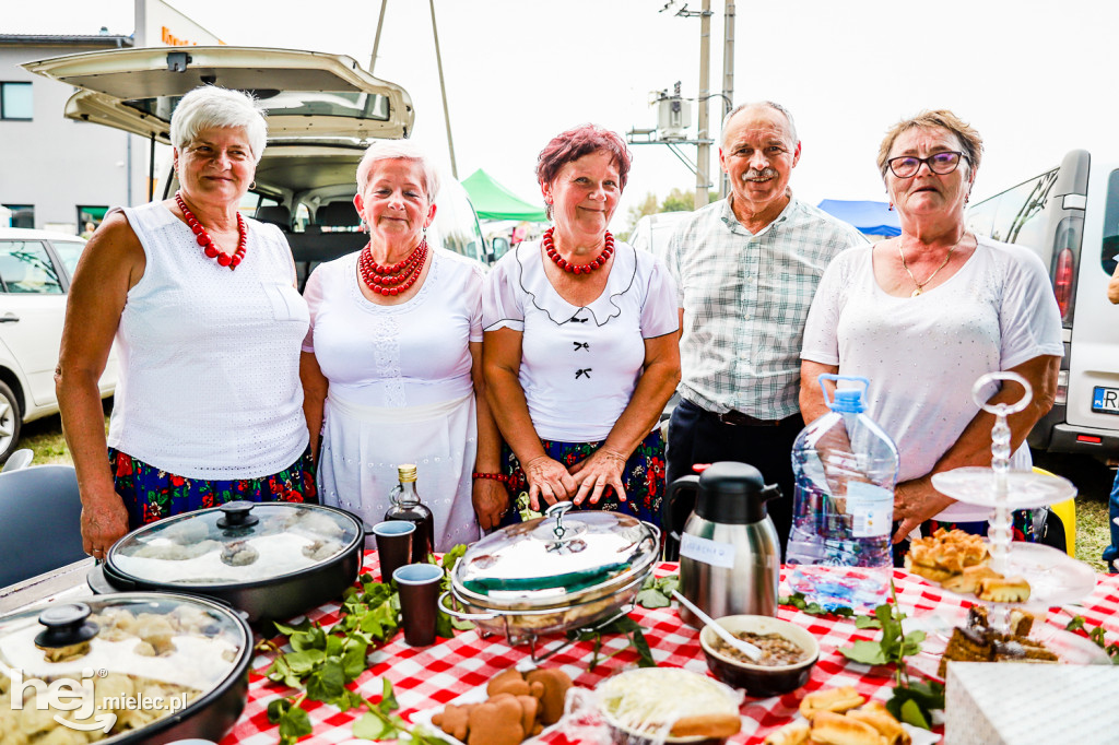 Piknik z Produktem Polskim – Bitwa Regionów w Przecławiu