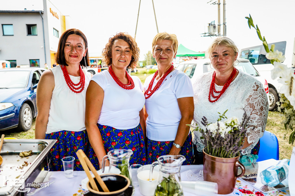 Piknik z Produktem Polskim – Bitwa Regionów w Przecławiu