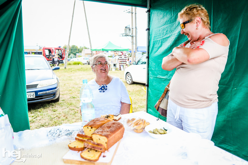Piknik z Produktem Polskim – Bitwa Regionów w Przecławiu