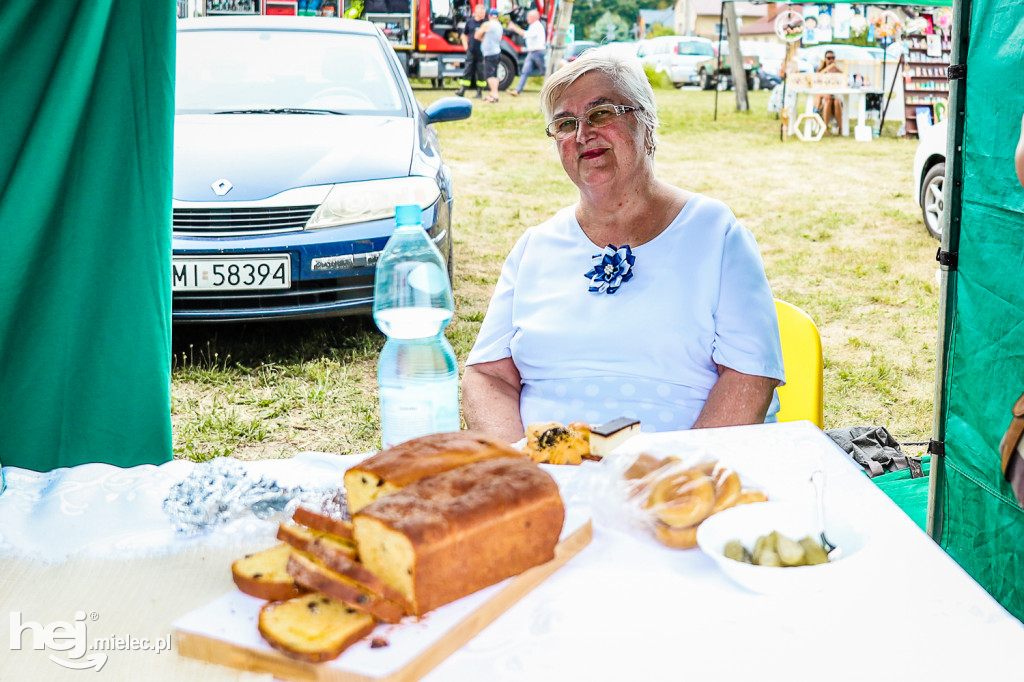 Piknik z Produktem Polskim – Bitwa Regionów w Przecławiu