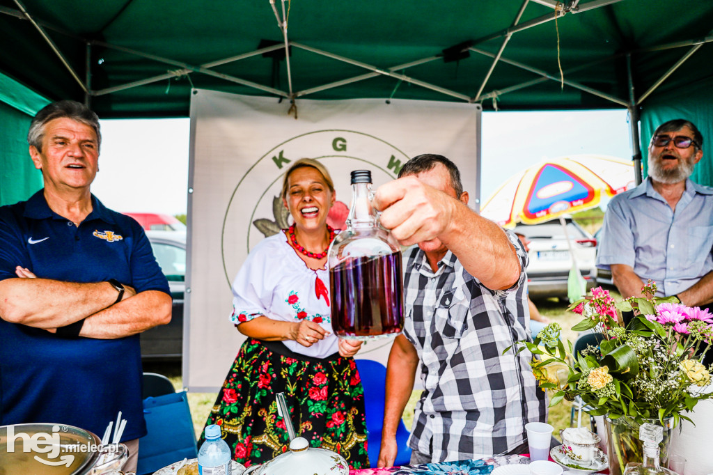 Piknik z Produktem Polskim – Bitwa Regionów w Przecławiu