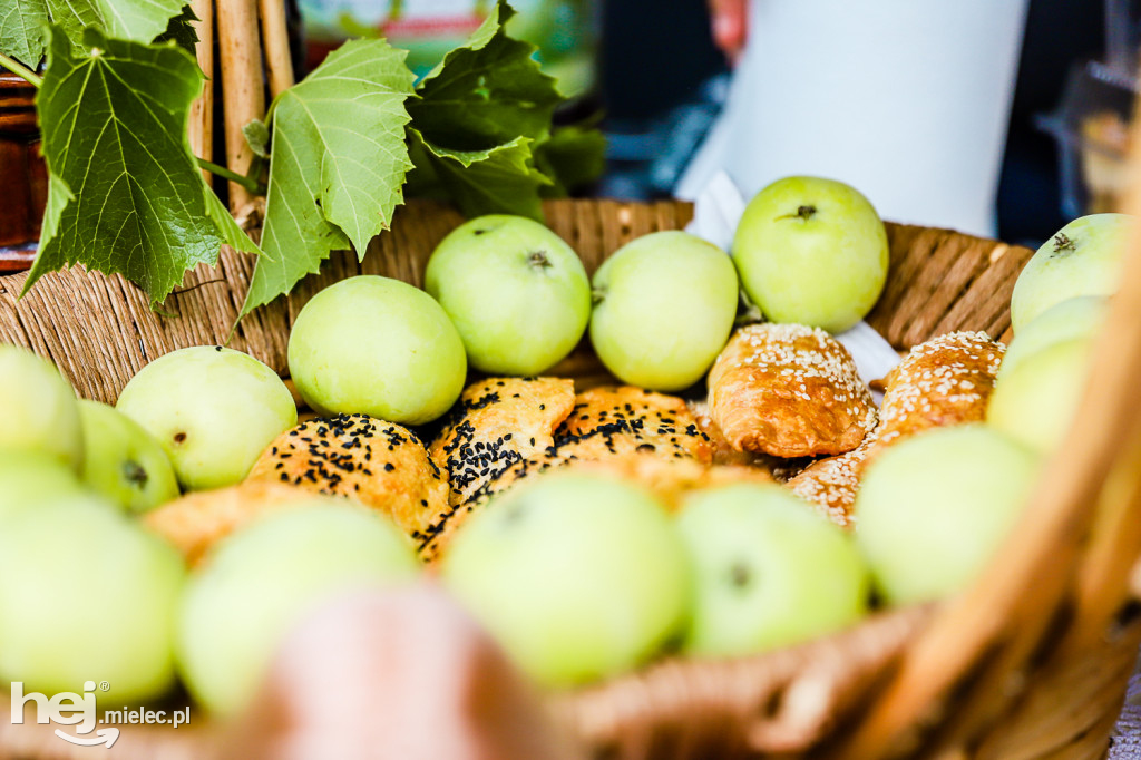 Piknik z Produktem Polskim – Bitwa Regionów w Przecławiu