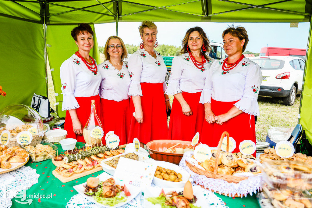 Piknik z Produktem Polskim – Bitwa Regionów w Przecławiu