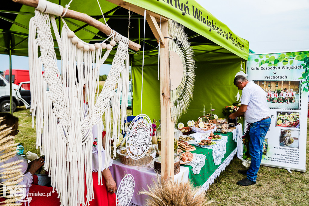 Piknik z Produktem Polskim – Bitwa Regionów w Przecławiu