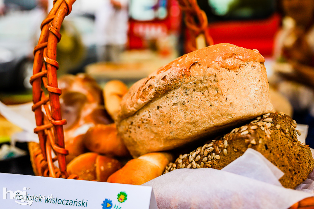 Piknik z Produktem Polskim – Bitwa Regionów w Przecławiu