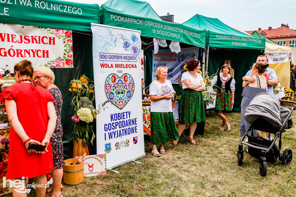 Piknik z Produktem Polskim – Bitwa Regionów w Przecławiu