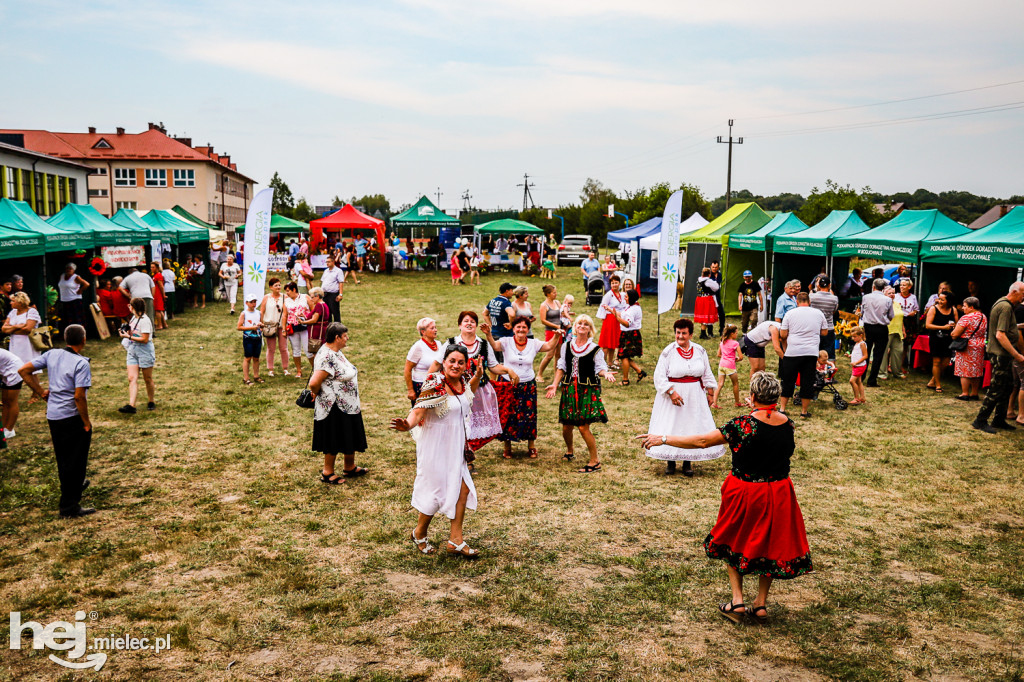Piknik z Produktem Polskim – Bitwa Regionów w Przecławiu