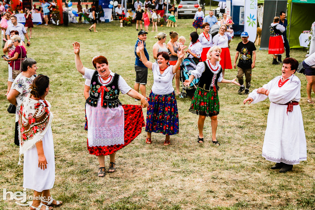 Piknik z Produktem Polskim – Bitwa Regionów w Przecławiu